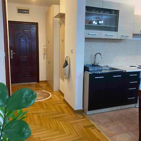 D Apartment Free Private Parking Fast Wi-Fi ノヴィ・サド エクステリア 写真